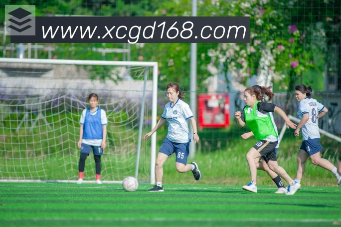 开云官方网站登录入口APP 封面图