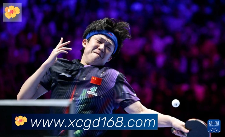 开云官方网站登录入口荣誉