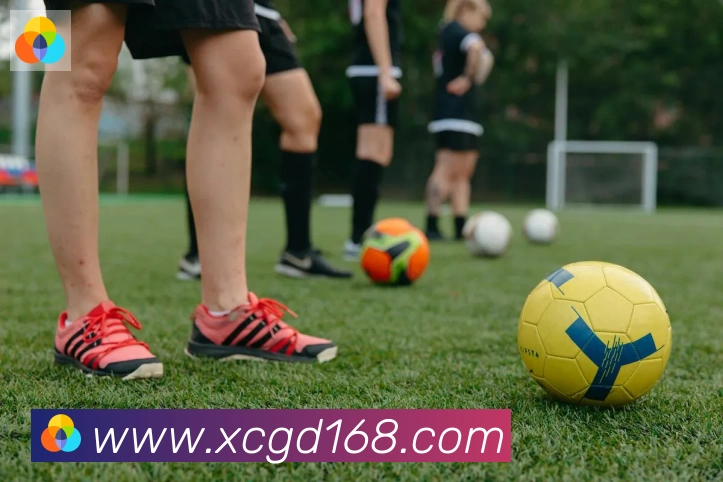 开云官方网站登录入口荣誉