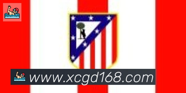 开云官方网站登录入口合作伙伴