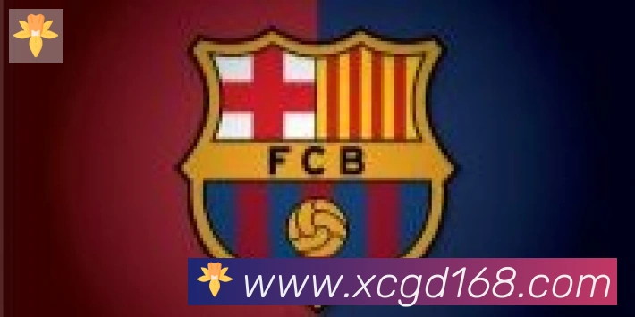 开云官方网站登录入口合作伙伴